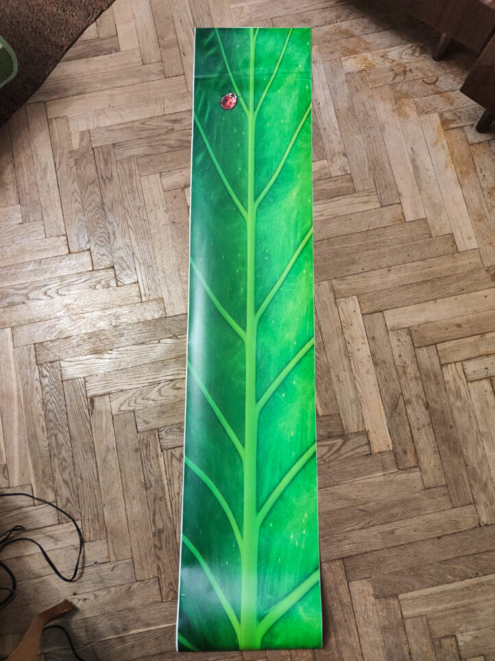 Наклейка на сноуборд