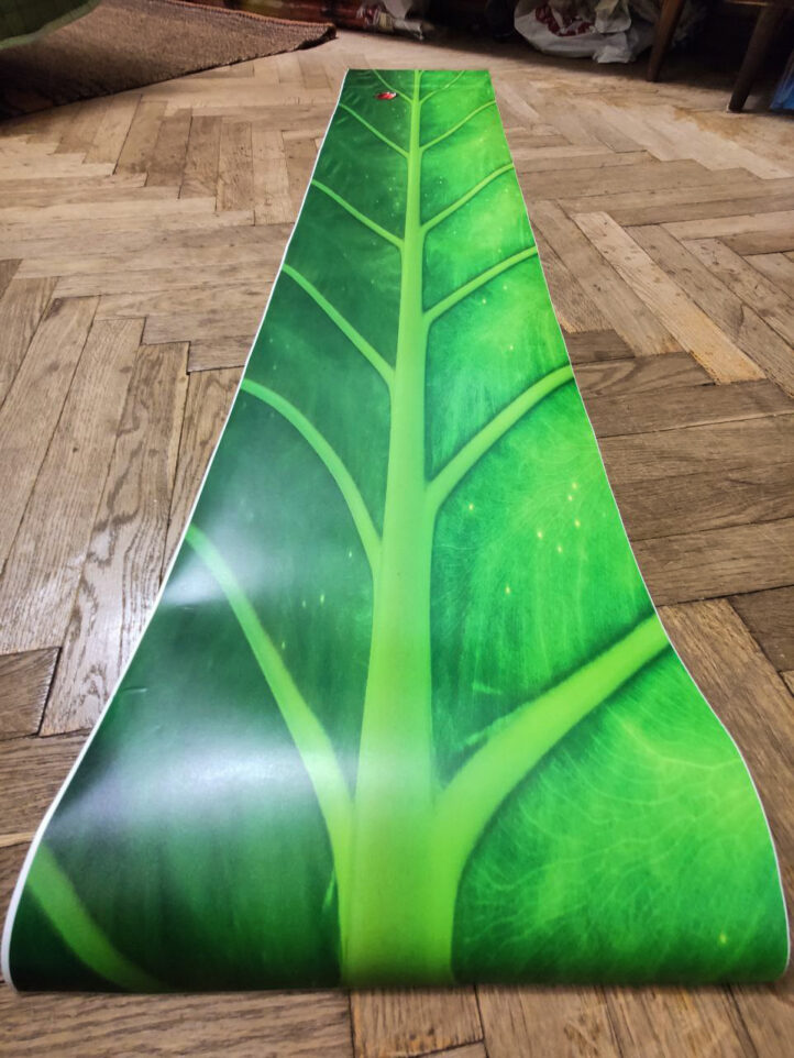 Наклейка на сноуборд на замовлення